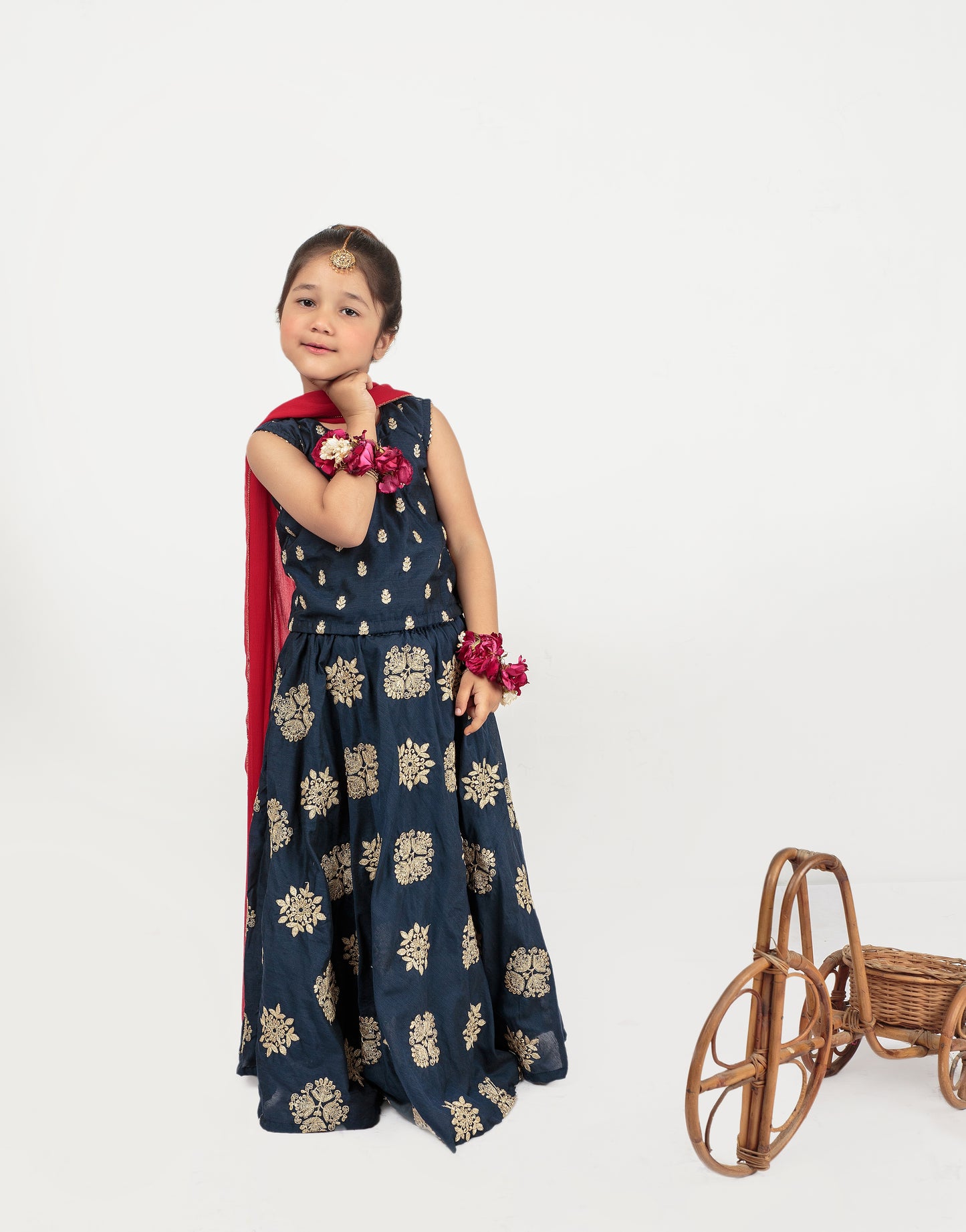 Blue Embroidered Lehenga (Nbleid24)