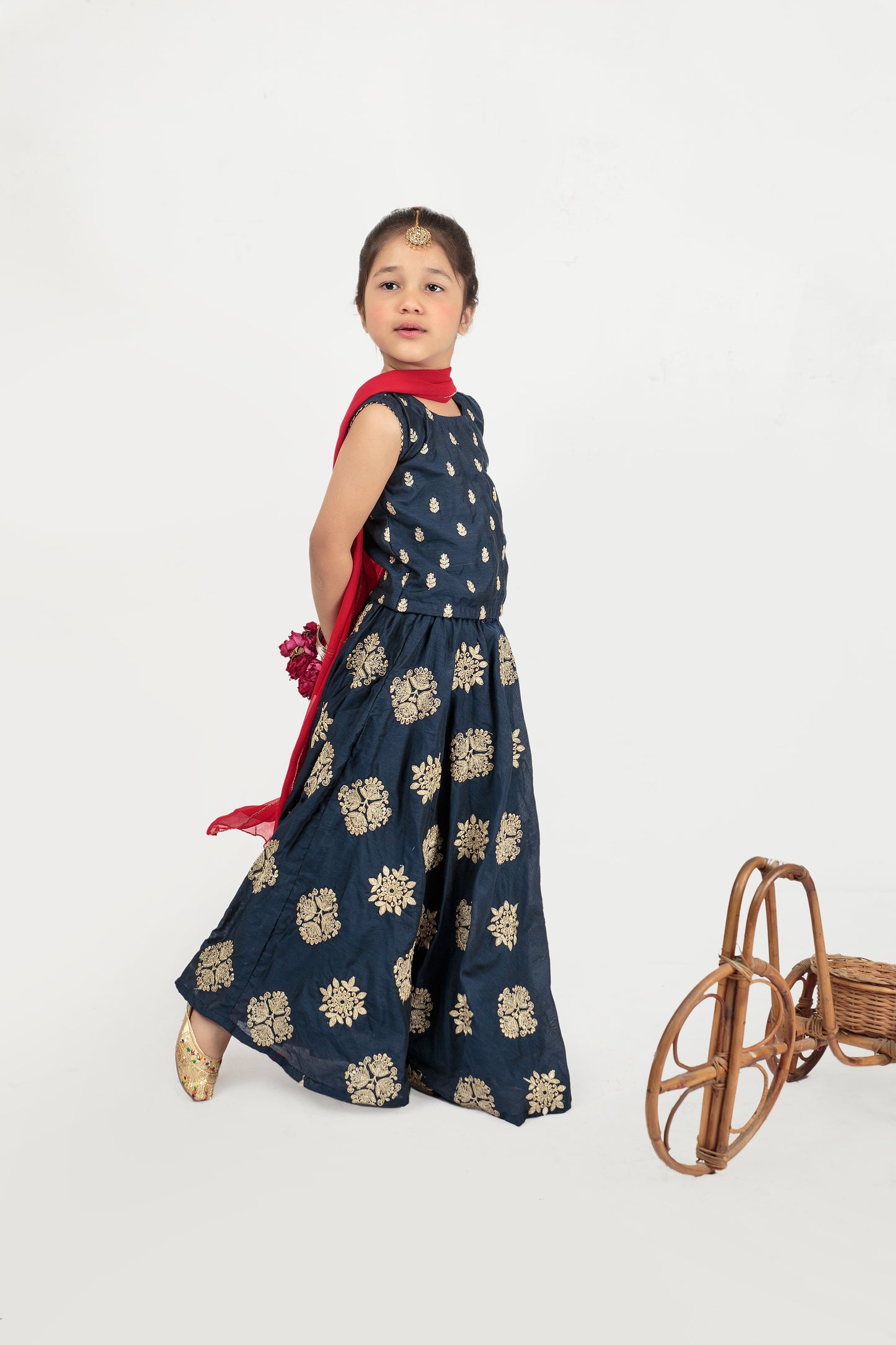Blue Embroidered Lehenga (Nbleid24)