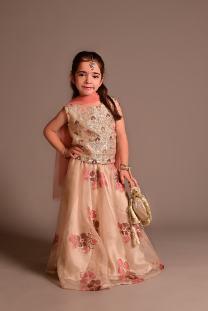 Gold Lehanga (VGL25)