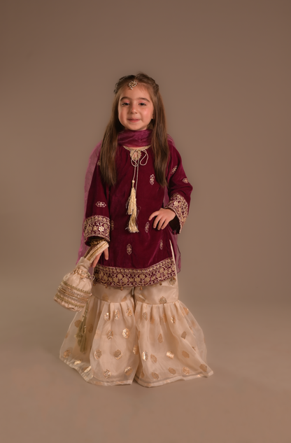 Pink velvet Gharara (VPG25)