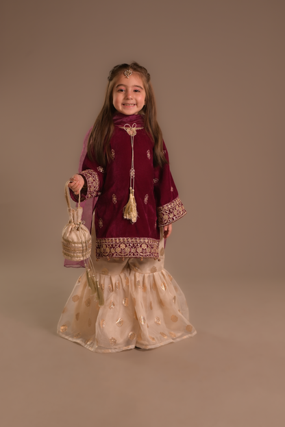 Pink velvet Gharara (VPG25)