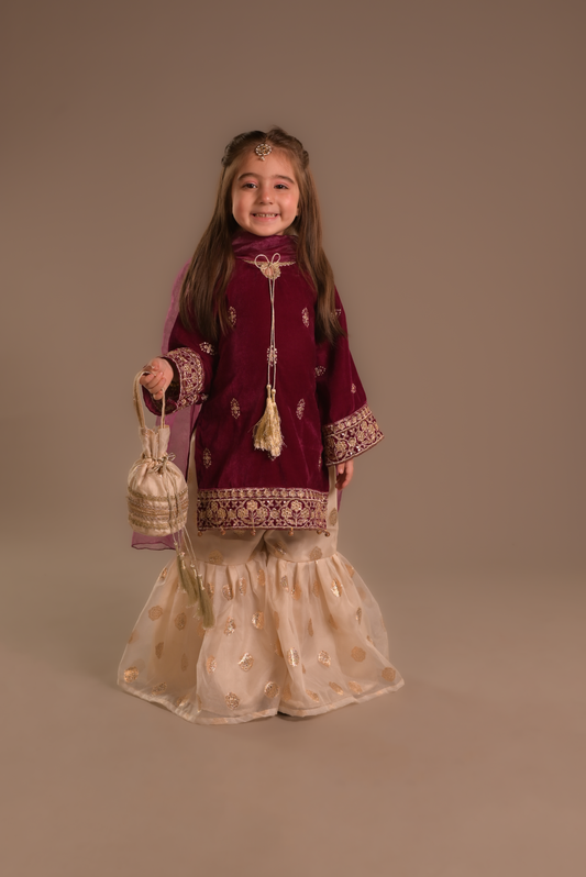 Pink velvet Gharara (VPG25)