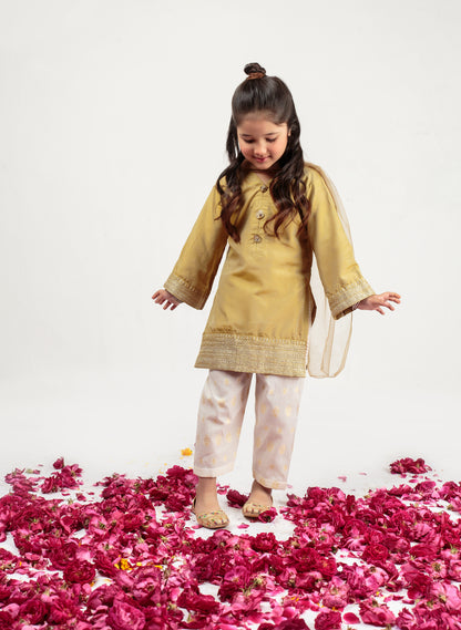 Flaxen Shalwar Kameez (Fjseid24)