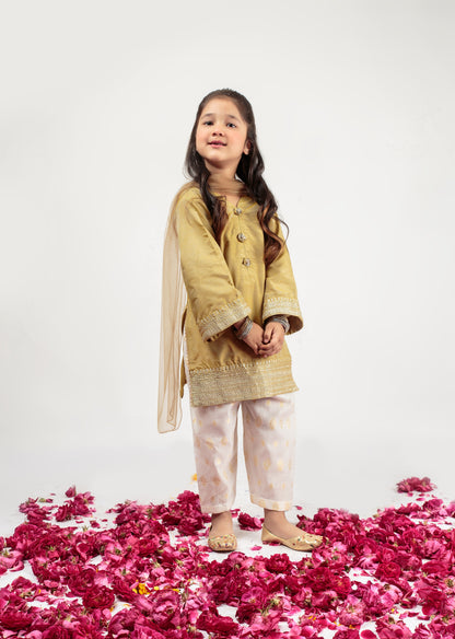 Flaxen Shalwar Kameez (Fjseid24)