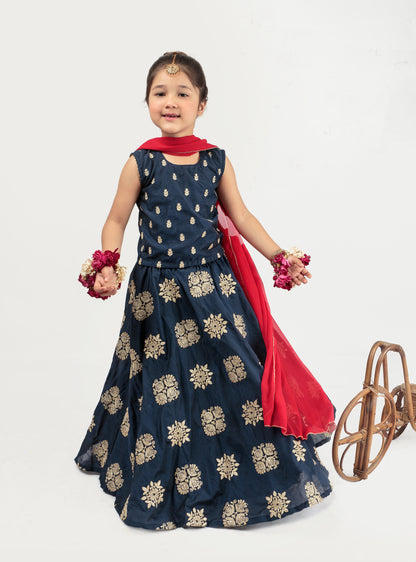 Blue Embroidered Lehenga (Nbleid24)