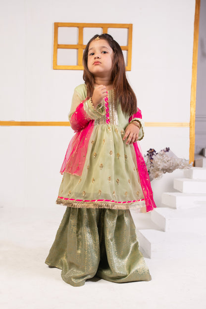 Mint Green Gharara   (Ncmp22)