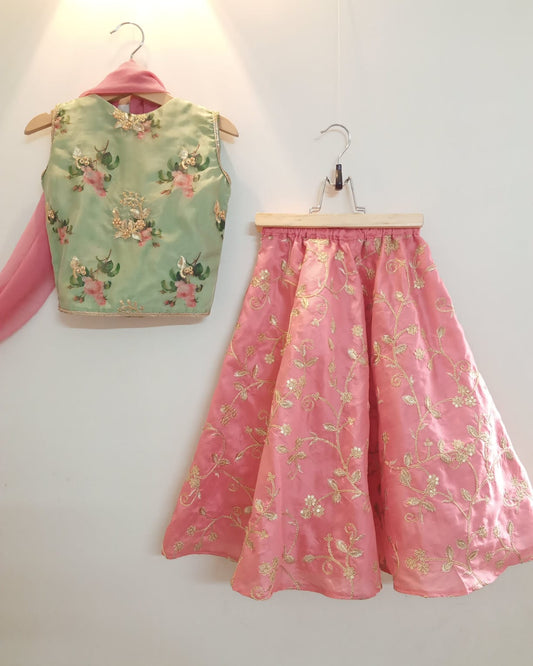 Mint-Pink Lehenga (Mpel22)