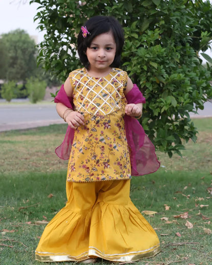 Mustard Lawn Gharara (Mplg24)